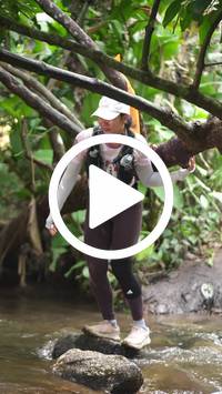 BIB:  <button type="button" onclick="openModal(27588759)" class="btn btn-primary btn-sm float-right" data-toggle="modal" data-target=".modal-high-quality">
                <i class="fa fa-download"></i> Download
                </button>